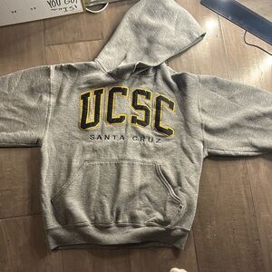 Santa Cruz lightly women’s hoodie